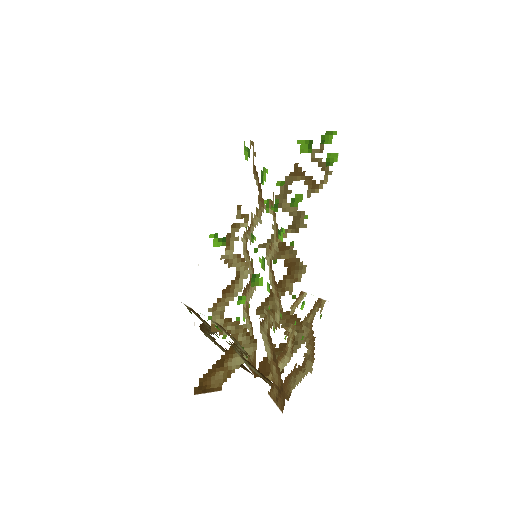 Plant_Roots_Cave.png