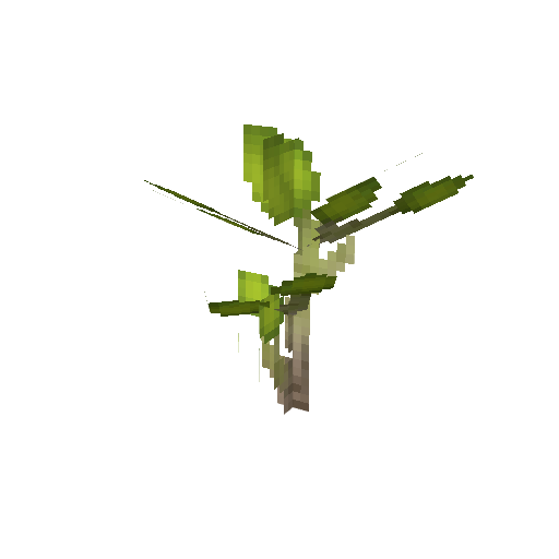 Plant_Sapling_Birch.png