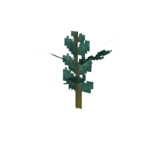 Plant_Sapling_Cedar.png
