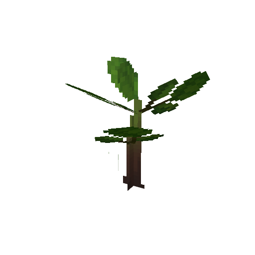 Plant_Sapling_Oak.png