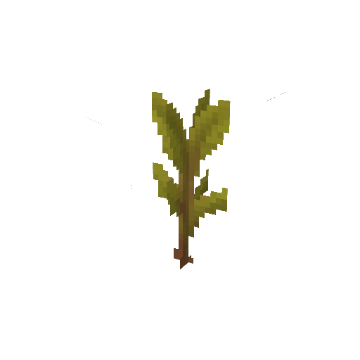 Plant_Sapling_Palm.png