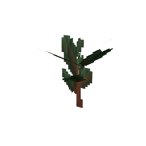 Plant_Sapling_Redwood.png