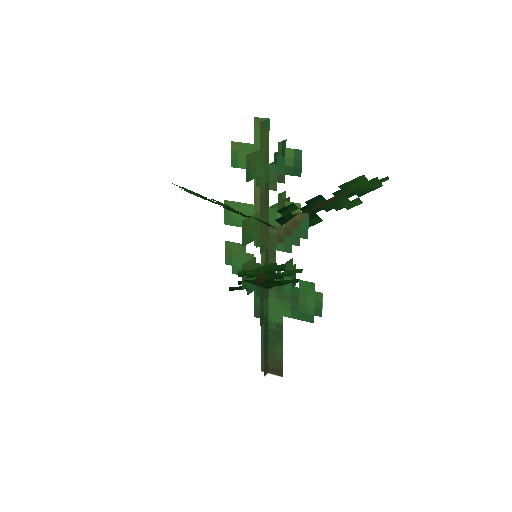 Plant_Sapling_Spruce.png