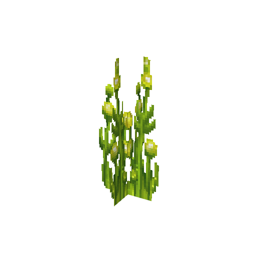 Plant_Seaweed_Grass_Bulbs.png