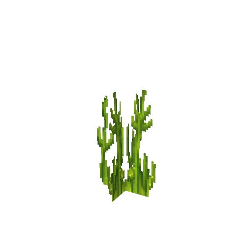Plant_Seaweed_Grass_Green.png