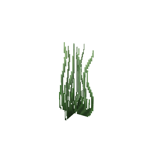 Plant_Seaweed_Winter_Tall.png