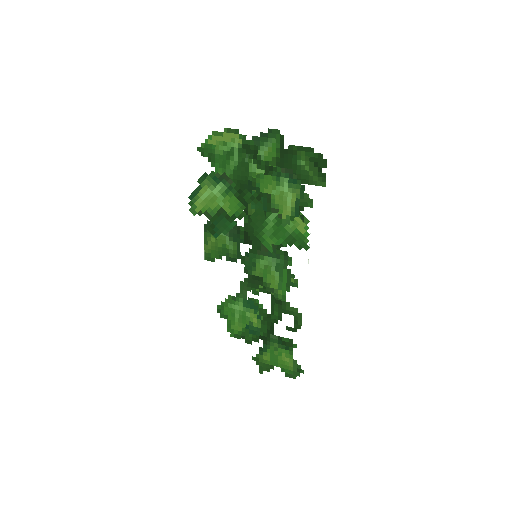Plant_Vine_Wall.png