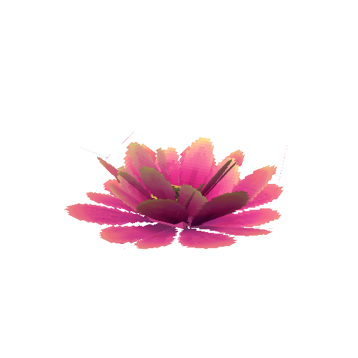 Prototype_Cacti_Flower_Giant_Pink.png