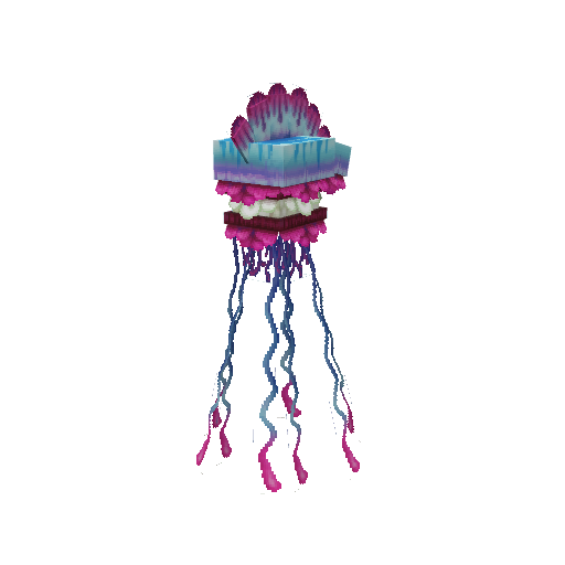 Jellyfish_Man_Of_War.png