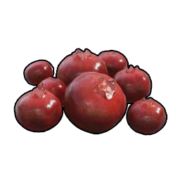 T_itemicon_Food_Berries.png