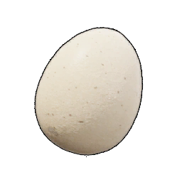 T_itemicon_Food_Egg.png