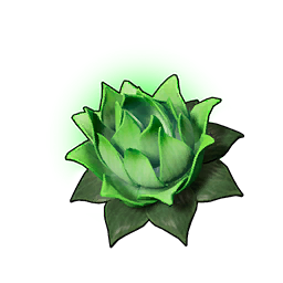 T_itemicon_Food_Lotus_hp_01.png