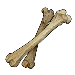 T_itemicon_Material_Bone.png